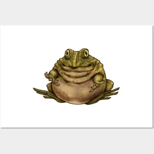 Round Frog Posters and Art